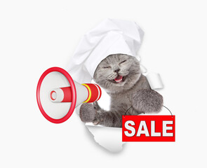 Poster - Happy cat wearing chef's hat looking through the hole in white paper, holding signboard with labeled 