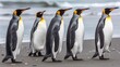 A group of penguins walking on the beach.
