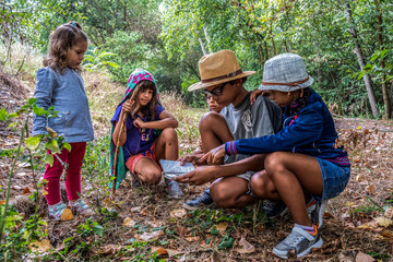 young explorers on a forest adventure, learning and fun merge in children's play. diverse group cons
