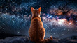 cat viewed from behind looking at the night stars