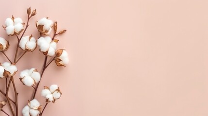 Wall Mural - White cotton flowers on beige background. Flat lay, top view.