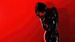 © brillianata - Woman in a beautiful latex suit on a black and red background