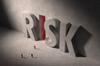 Confronting Risk
