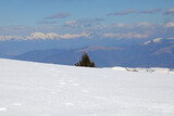 Fototapeta Boho - panorama with snow-capped mountains in winter and a pine tree