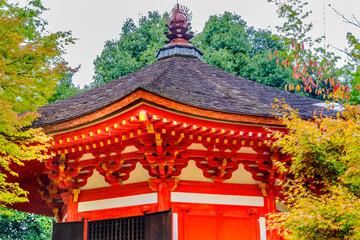 Wall Mural - Colorful Red Aizendo Fall Leaves Tofuku-Ji Buddhist Temple Kyoto Japan