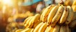   Bananas stacked in rows at a store window during a sunlit day