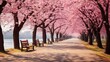 Sakura Cherry blossoming