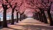 Sakura Cherry blossoming