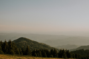 Wall Mural - Serene Meadows Embraced by Majestic Peaks