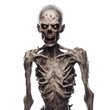 © NightTampa - Scary 3d zombie isolated on white background