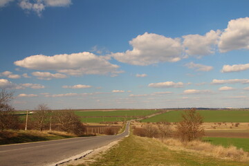 A road with grass and trees on both sides