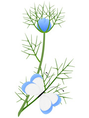 Wall Mural - Nigella damask branch with a butterfly on a white background..eps
