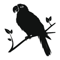 Poster - Poicephalus Parrot Silhouette