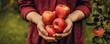 Close up of farmer hand holding fresh sweet apples. Generative AI