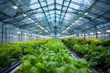 High Tech Greenhouse With Geothermal Heating And LED Lighting Cultivating Year Round Crops