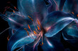 modern background, shining lily flower with transparent petals, with unearthly radiance, neon gamma,close-up, graphic concept,web design,flower shops,flower exhibitions