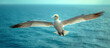 Majestic seabird in flight over ocean with wings spread wide, showcasing natural wildlife and freedom.