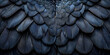 Close up of a black and blue winged bird made of feathers 3D rendering of black metallic background.
