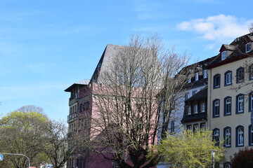 Poster - spring trees in front of a pink building