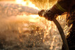 Close-up of a firefighter's hands holding a fire hose, spraying water with great force to extinguish a fire.