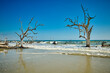 Hunting Island State Park with driftwood along the shore.