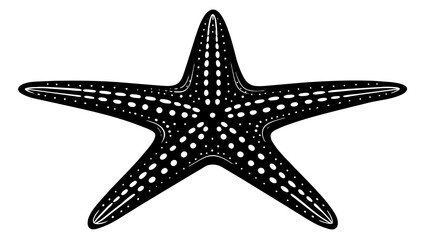 Wall Mural - Discover Stunning Starfish Vector Graphics Your Ultimate Resource