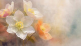 Fototapeta Kwiaty - Pomarańczowy i biały kwiat ciemiernik, tapeta w kwiaty