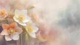 Fototapeta Fototapeta w kwiaty na ścianę - Pomarańczowy i biały kwiat ciemiernik, tapeta w kwiaty