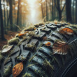 Car tire in autumn forest, nature pollution control concept.
