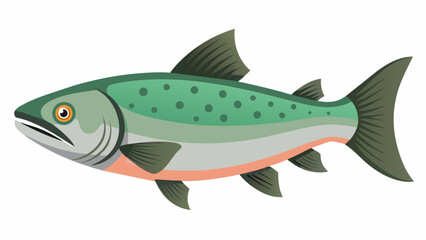 Wall Mural - Discover the Finest Salmon Fish Vector Graphics for Your Projects