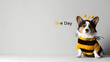 A charming corgi dog dressed in a bee costume poses in a minimalist setting, humorously celebrating World Bee Day.