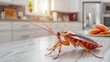 A high-definition image capturing a cockroach crawling on a white kitchen counter, depicting a hygiene concern in a domestic setting. Generative AI