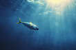 A large tuna swims through clear blue water, with sun rays penetrating the water