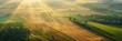 Bird's eye view of agricultural cultivated seeded fields, farmland in the rays of the rising sun, banner