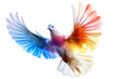 A colorful peaceful pigeon, isolated on a transparent background, Generative AI