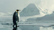 Majestic Emperor Penguin Standing Tall Amidst a Vast Landscape
