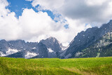 Fototapeta Konie - Sommerliche Alpenlandschaften - grüne Wiese mit dem Wilden Kaiser Gebirge im Hintergrund.