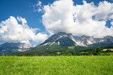Fototapeta Konie - Sommerliche Alpenlandschaften - grüne Wiese mit dem Wilden Kaiser Gebirge im Hintergrund.