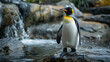 Penguin with a regal bearing commanding attention with its presence