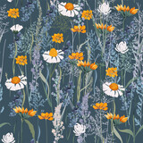 Fototapeta Dmuchawce - Fashion vector seamless pattern with hand drawn field flowers in vintage style