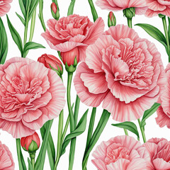 Wall Mural - carnation flowers watercolor illustration