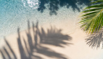 Poster - A palm tree is laying on the sand next to the ocean. The water is calm and the palm tree casts a shadow on the sand, top view, tropical vacation concept background