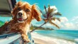 © 2D_Jungle - A funny cute dog looks out of the car window on the road to the ocean, Summer country trip with pets to the palm beach, Family trip on summer vacation California 60s