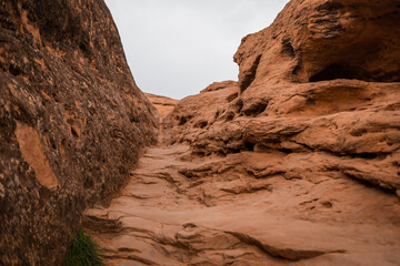 Wall Mural - The Rock Path Up To Dixie Rock