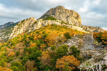 Wall Mural - Termessos ancient city the amphitheatre. Termessos is one of Antalya -Turkey's most outstanding archaeological sites. Despite the long siege, Alexander the Great could not capture the ancient city.