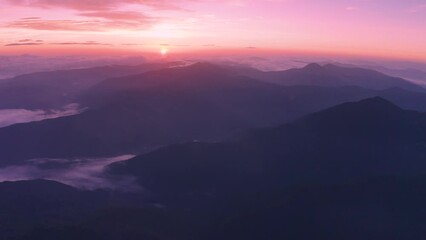 Poster - dawn in the Ukrainian Carpathians after the rain, when the gentle fog at dawn in the valleys hugs the mountain peaks, view from a flying drone