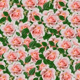 Fototapeta  - Digital printable design art bunch of roses for fabric and paper print