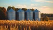 Grain storage silos near plantation in rural area