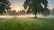 A serene summer dawn breaks over a freshly mown lawn, shrouded in a light morning fog, encapsulating the essence of spring in a panoramic view Generative AI