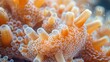 © ladaz - Microscopic view of nutrient absorption in the body